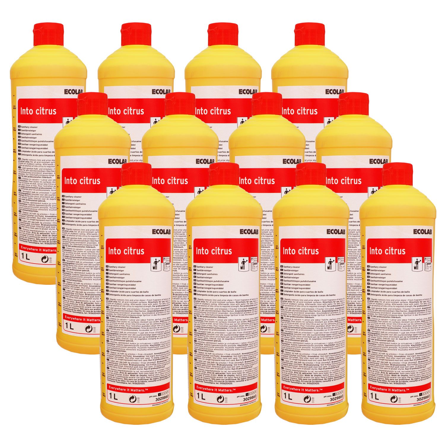 Ecolab Into Citrus 12 x 1 Liter Sanit�r Kraftreiniger Bad + WC Reiniger  Set