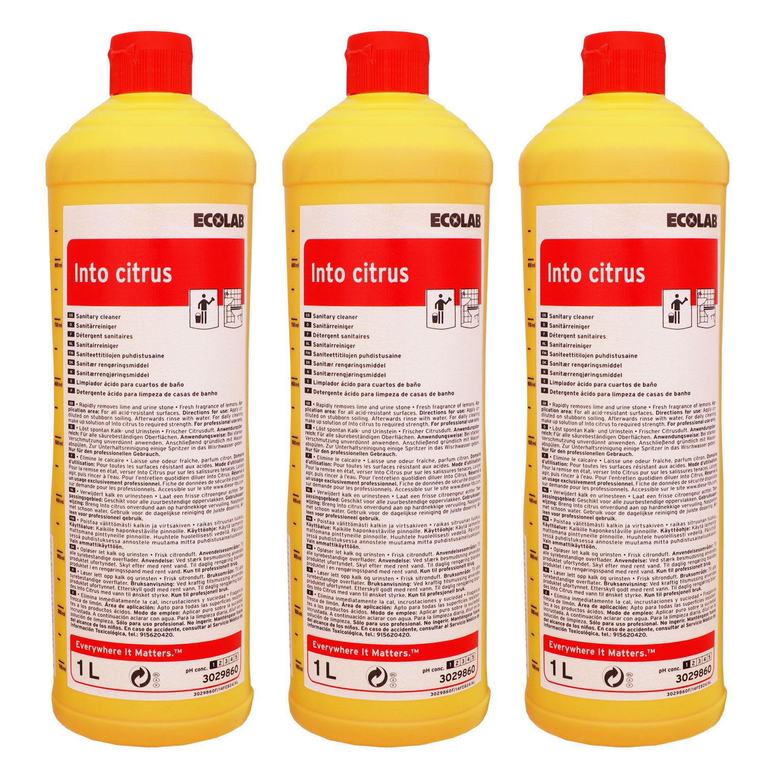 Ecolab Into Citrus 3 x 1 Liter Sanit�r Kraftreiniger Bad + WC Reiniger  Set
