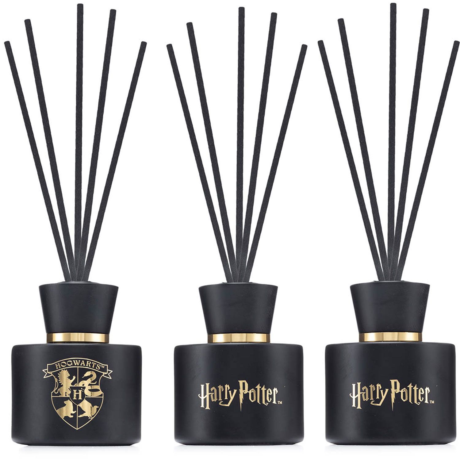 Harry Potter Hogwarts 2 x 100 ml Raumduft Reed Diffuser Set