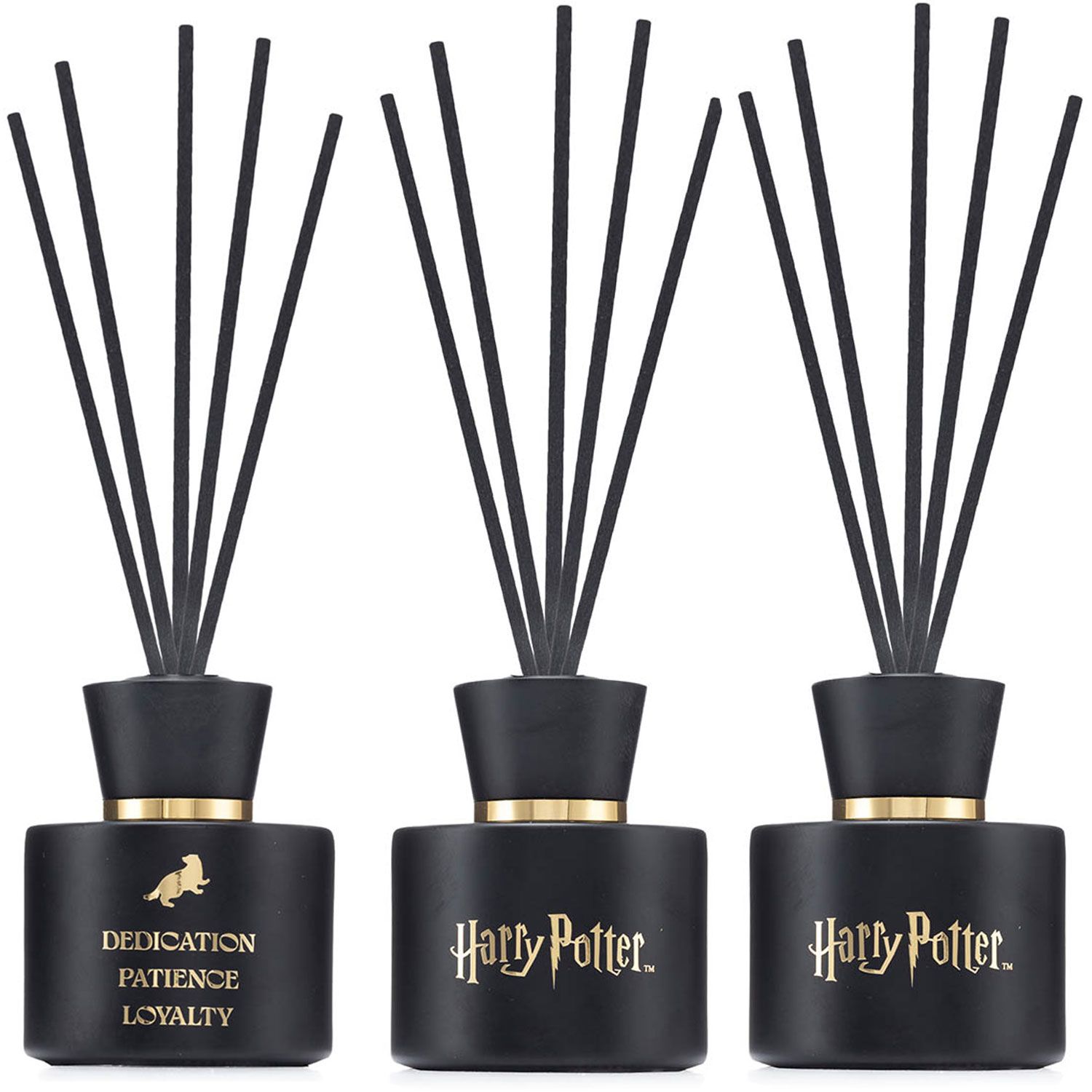 Harry Potter Hufflepuff 2 x 100 ml Raumduft Reed Diffuser Set