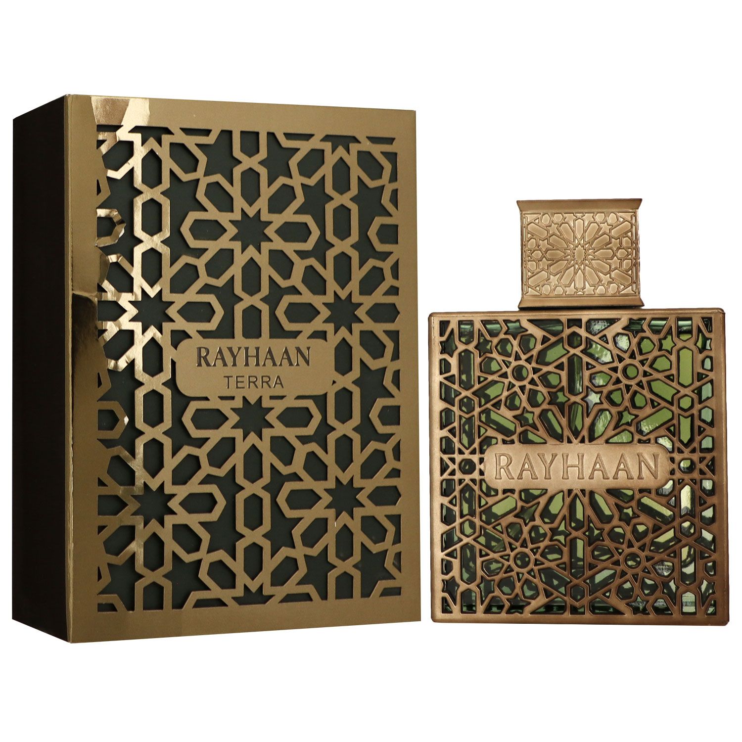 Rayhaan Terra 100 ml Eau de Parfum EDP Herrenparfum