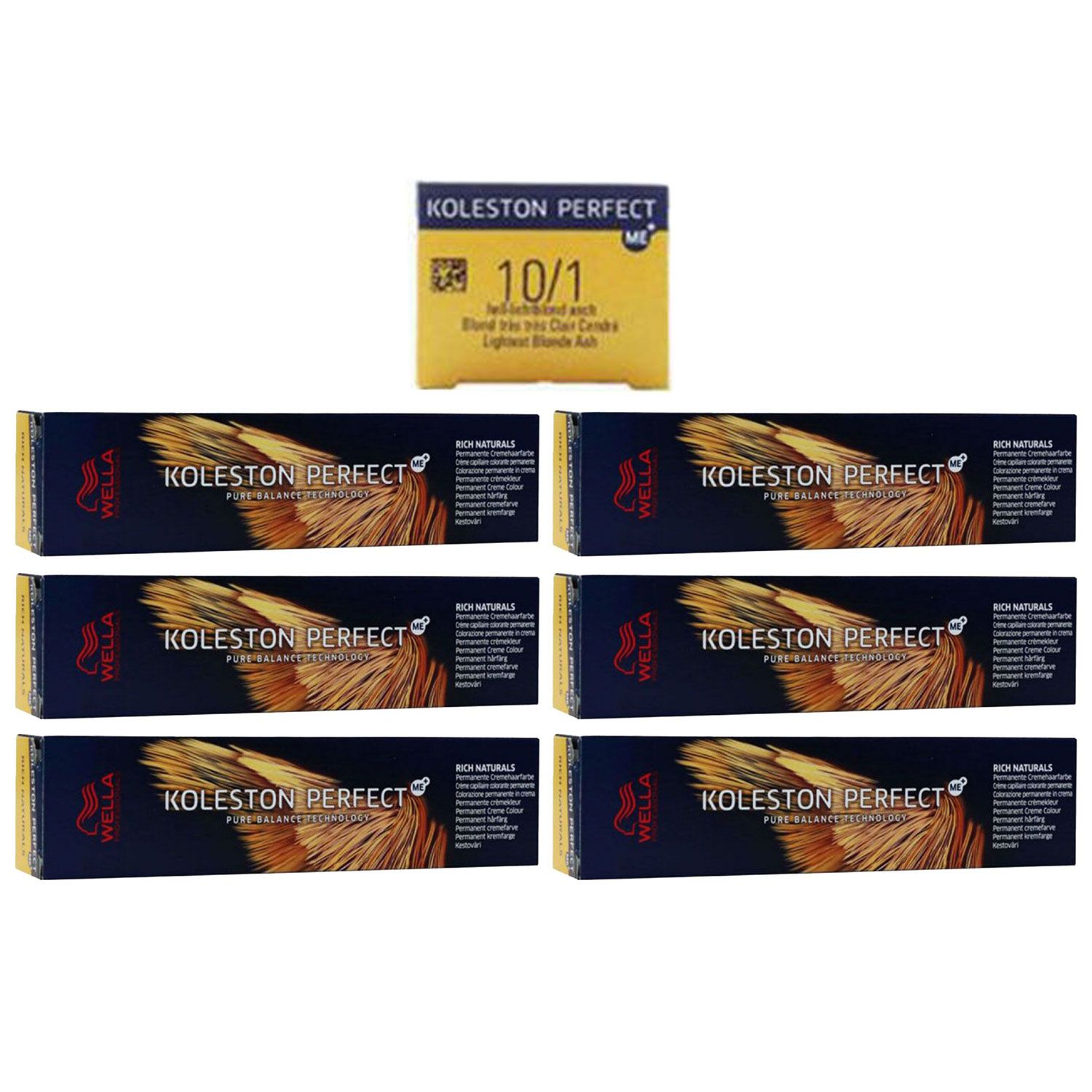 Wella Koleston 6 x 60 ml 10/1 hell lichtblond asch Set
