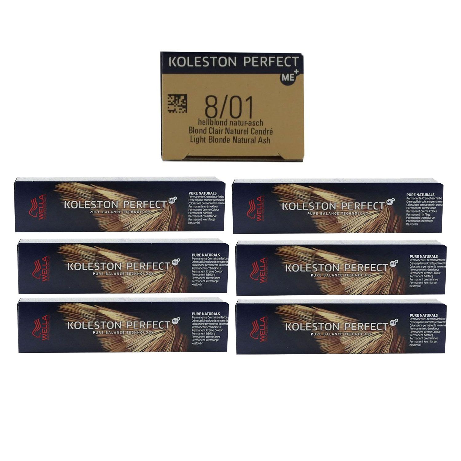 Wella Koleston 6 x 60 ml 8/01 helllblond natur asch Set